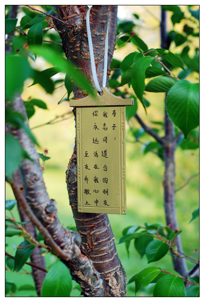 Chinese characters