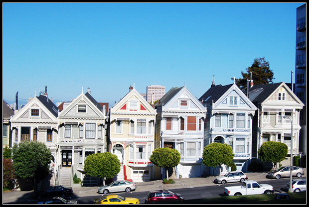 Painted Ladies