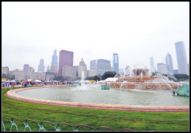 Chicago 5
