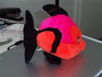 Ugly Fish