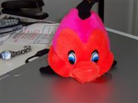 Ugly Fish