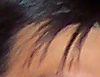 Guess Who!