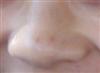 Guess!