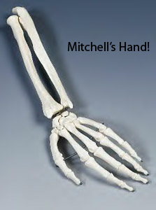 Mitch Hand