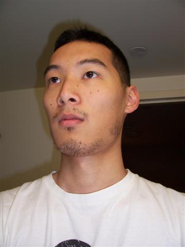 stache 1