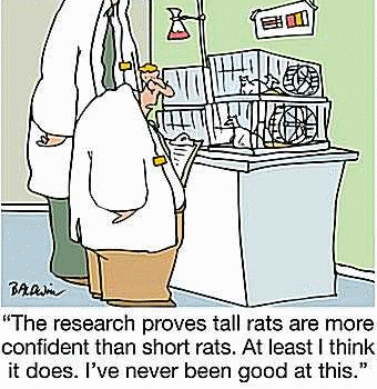 Tall vs Short